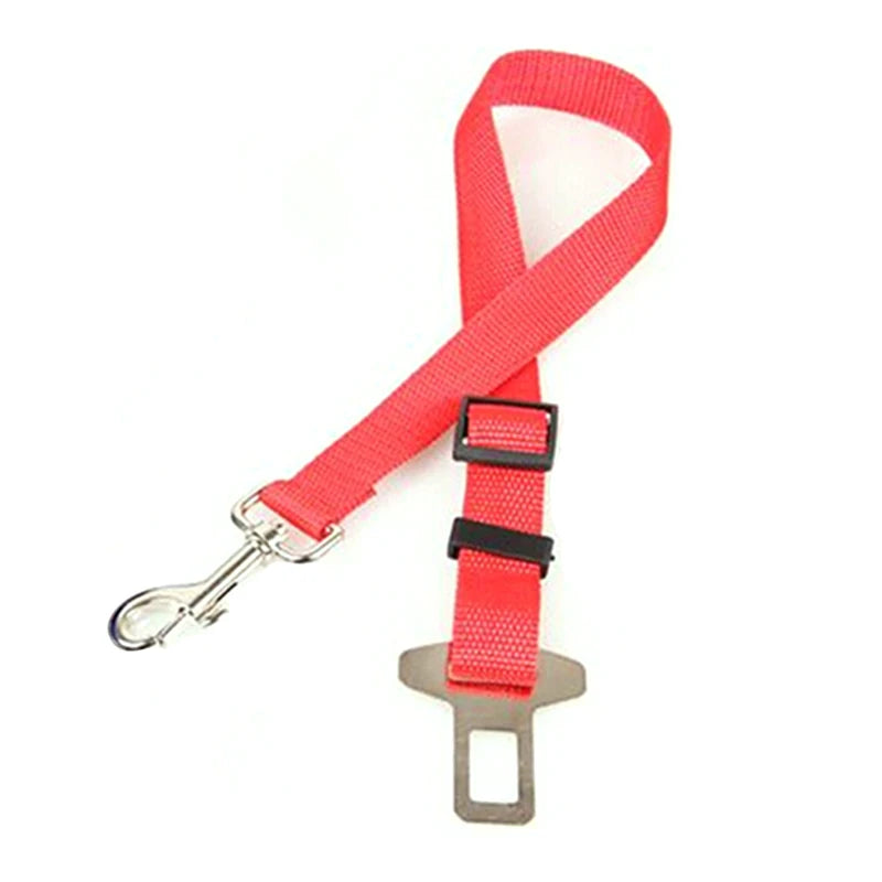 Seat Belt - Pup List