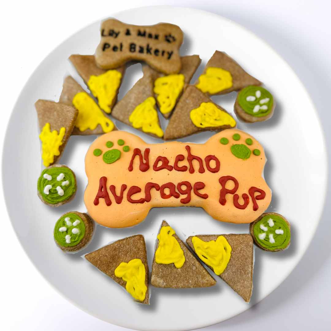 Nacho Average Pup