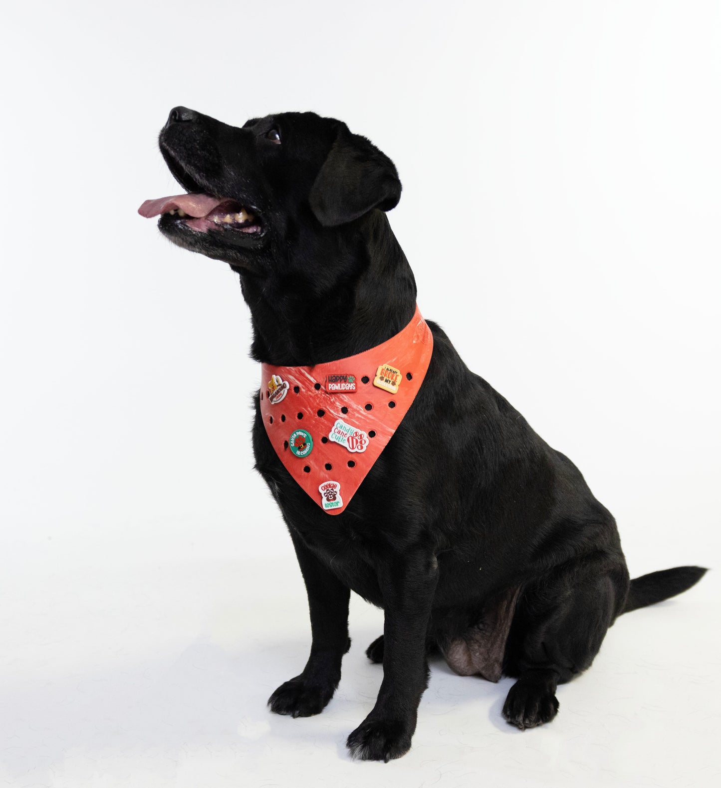 Charmdana - Rubber Dog Bandana with Charms-  Light Weight- Red/White Christmas Edition- Dog Bandana