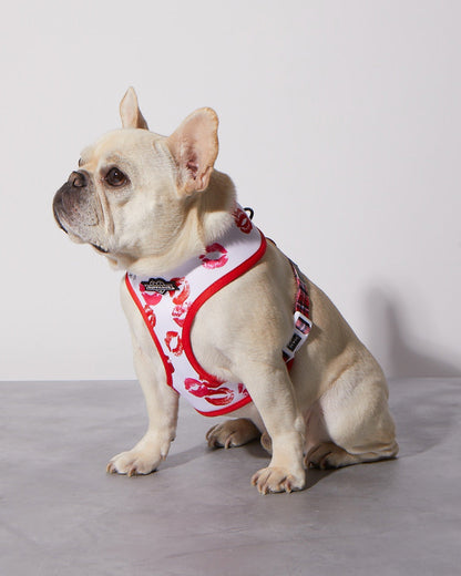 Smooch My Pooch Reversible Harness