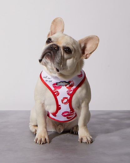 Smooch My Pooch Reversible Harness