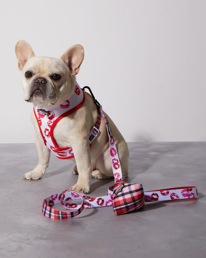 Smooch My Pooch Reversible Harness