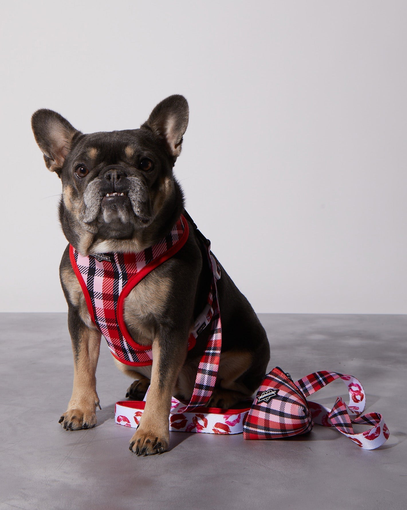 Smooch My Pooch Reversible Harness