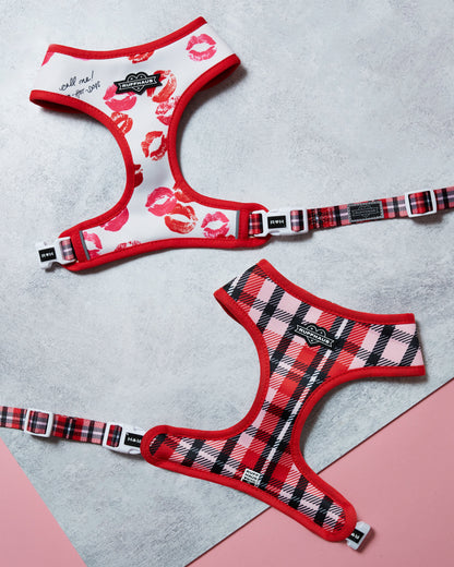 Smooch My Pooch Reversible Harness