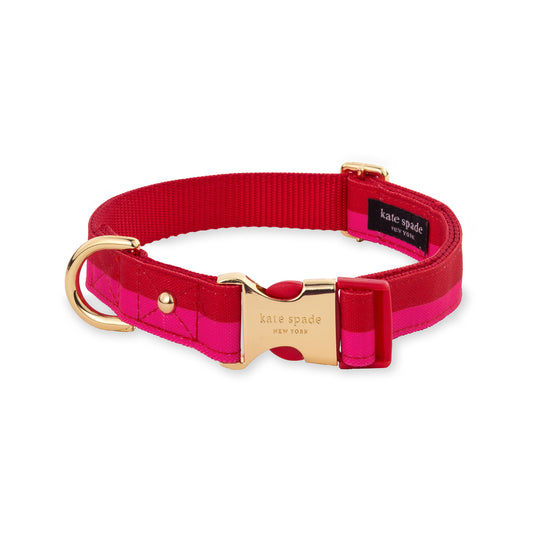 Kate Spade Red & Pink Colorblock Small Collar