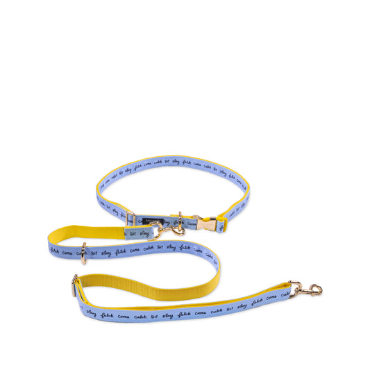 Hands Free Leash, Kate Spade Raining Cats and Dogs