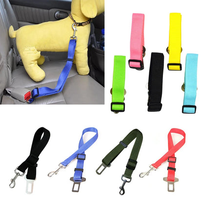 Seat Belt - Pup List