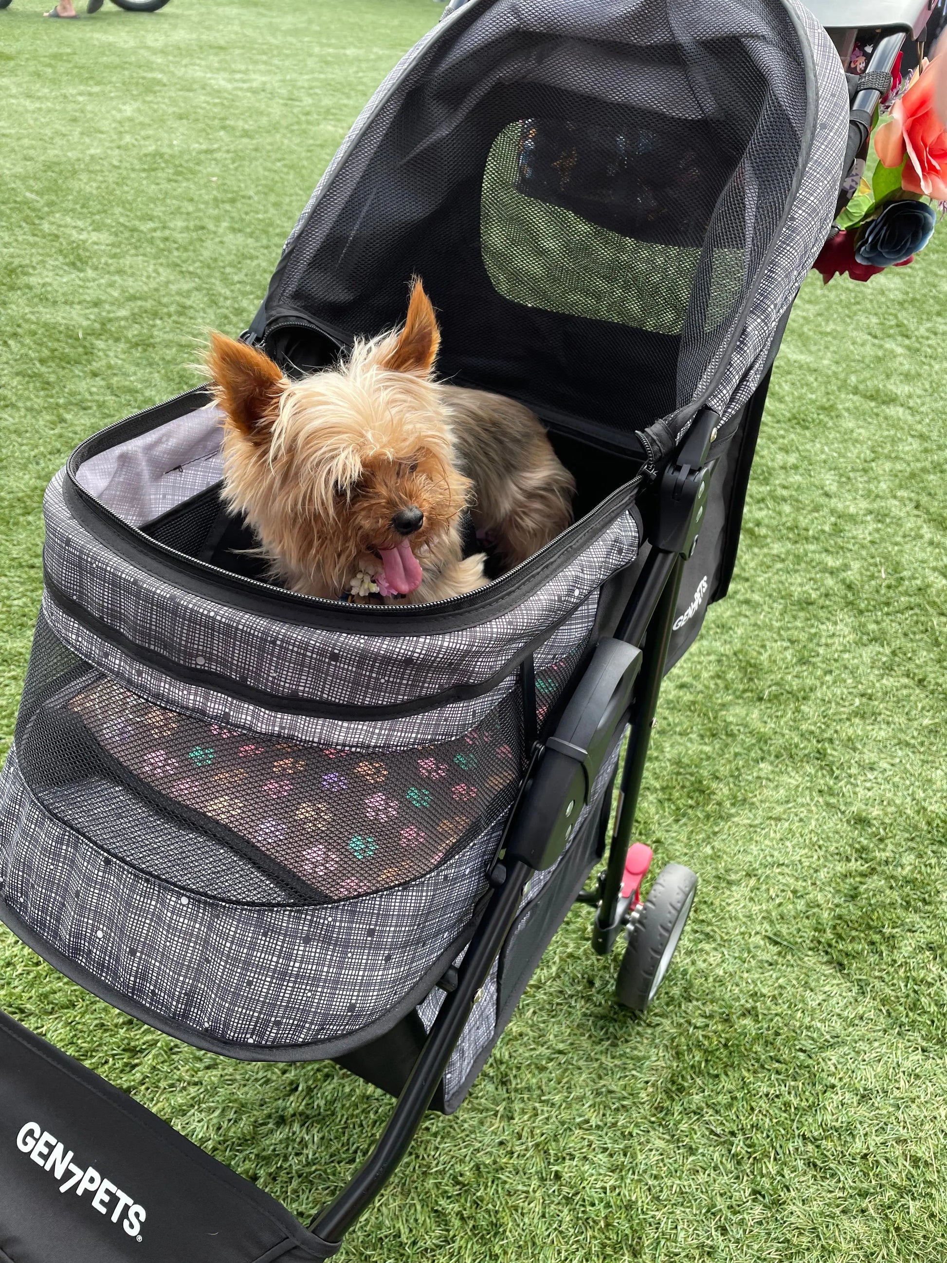 Carrier/Shopping Cart/Stroller Pad - Pup List