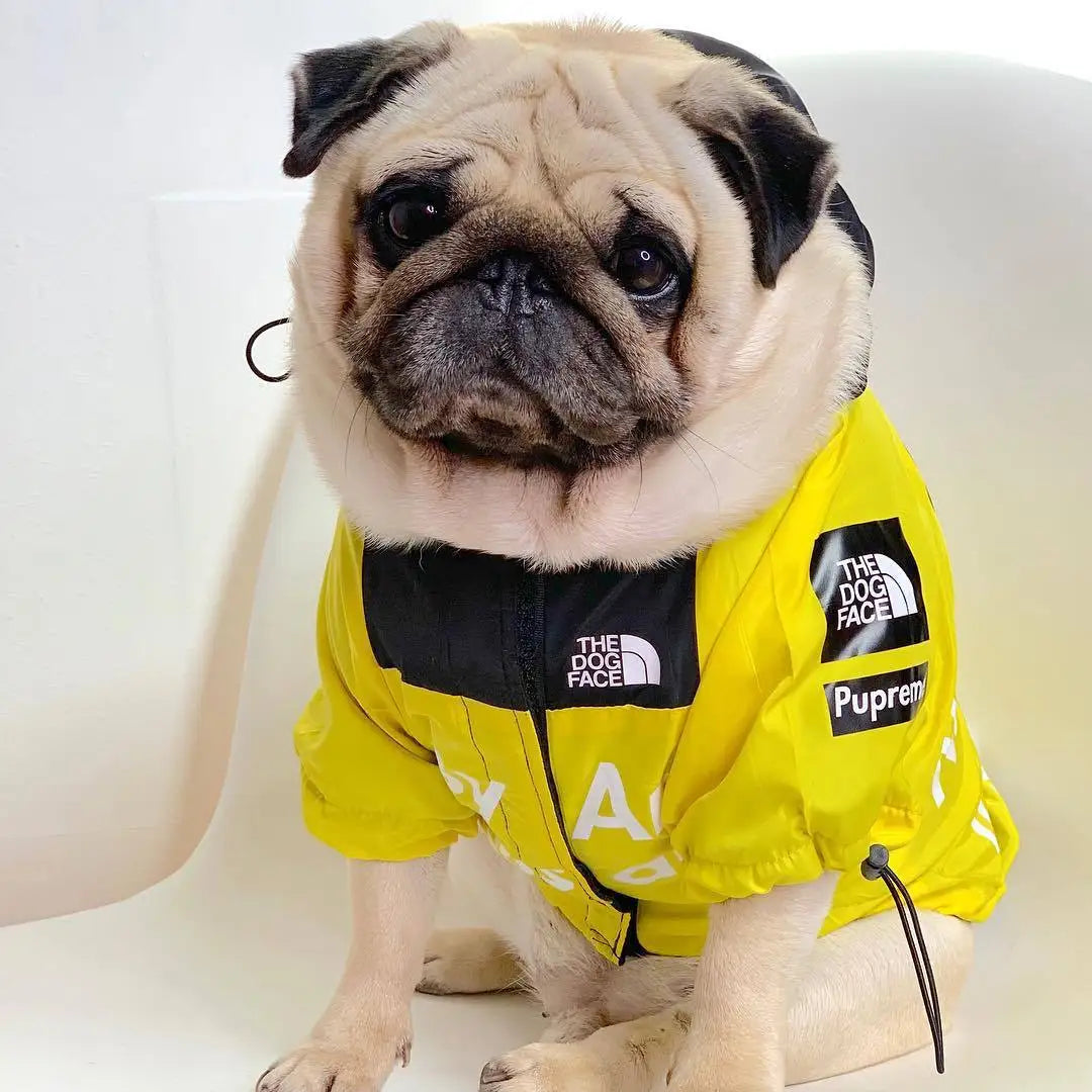 Dog Raincoat Winter Jacket - Pup List