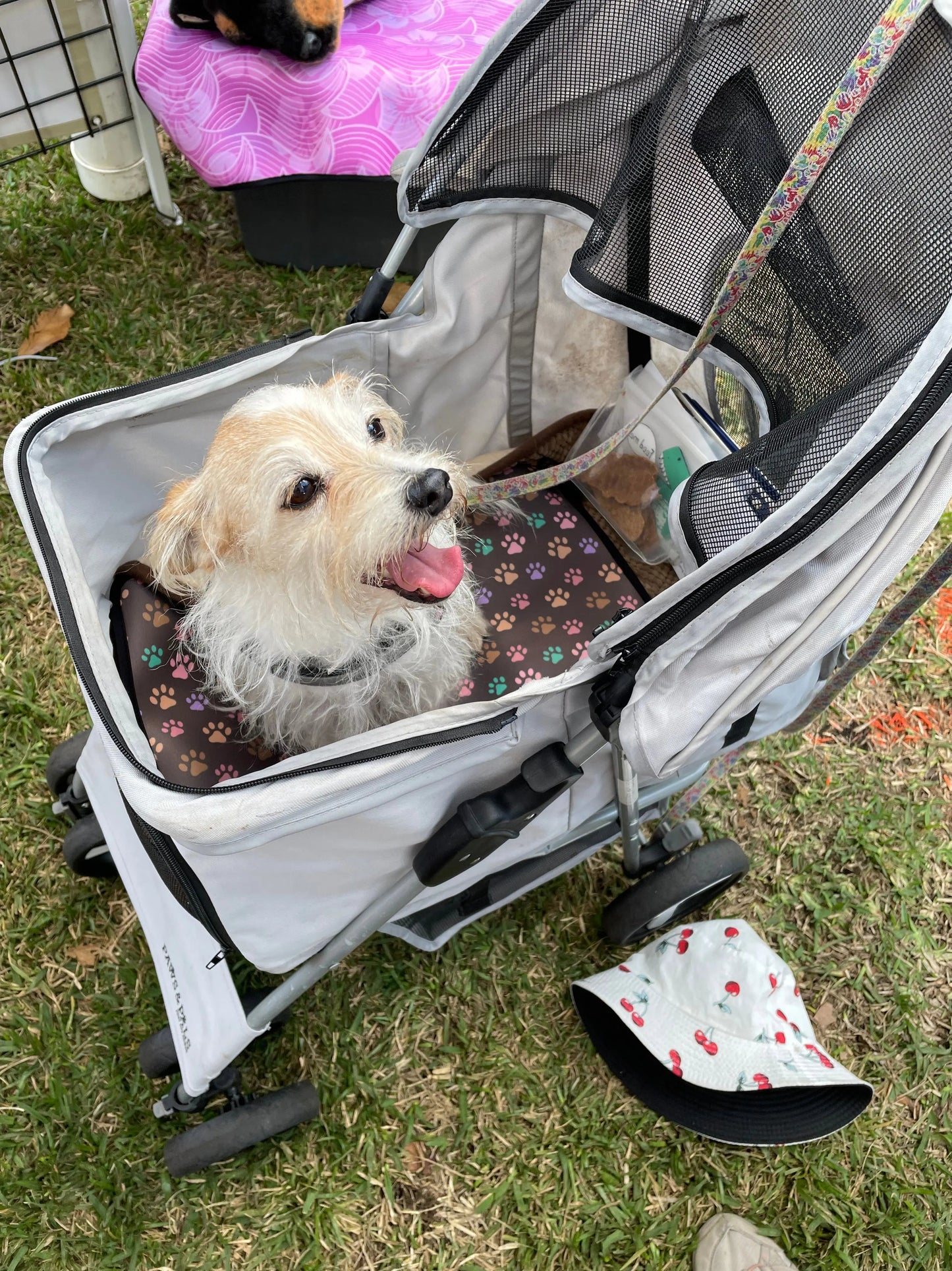 Carrier/Shopping Cart/Stroller Pad - Pup List