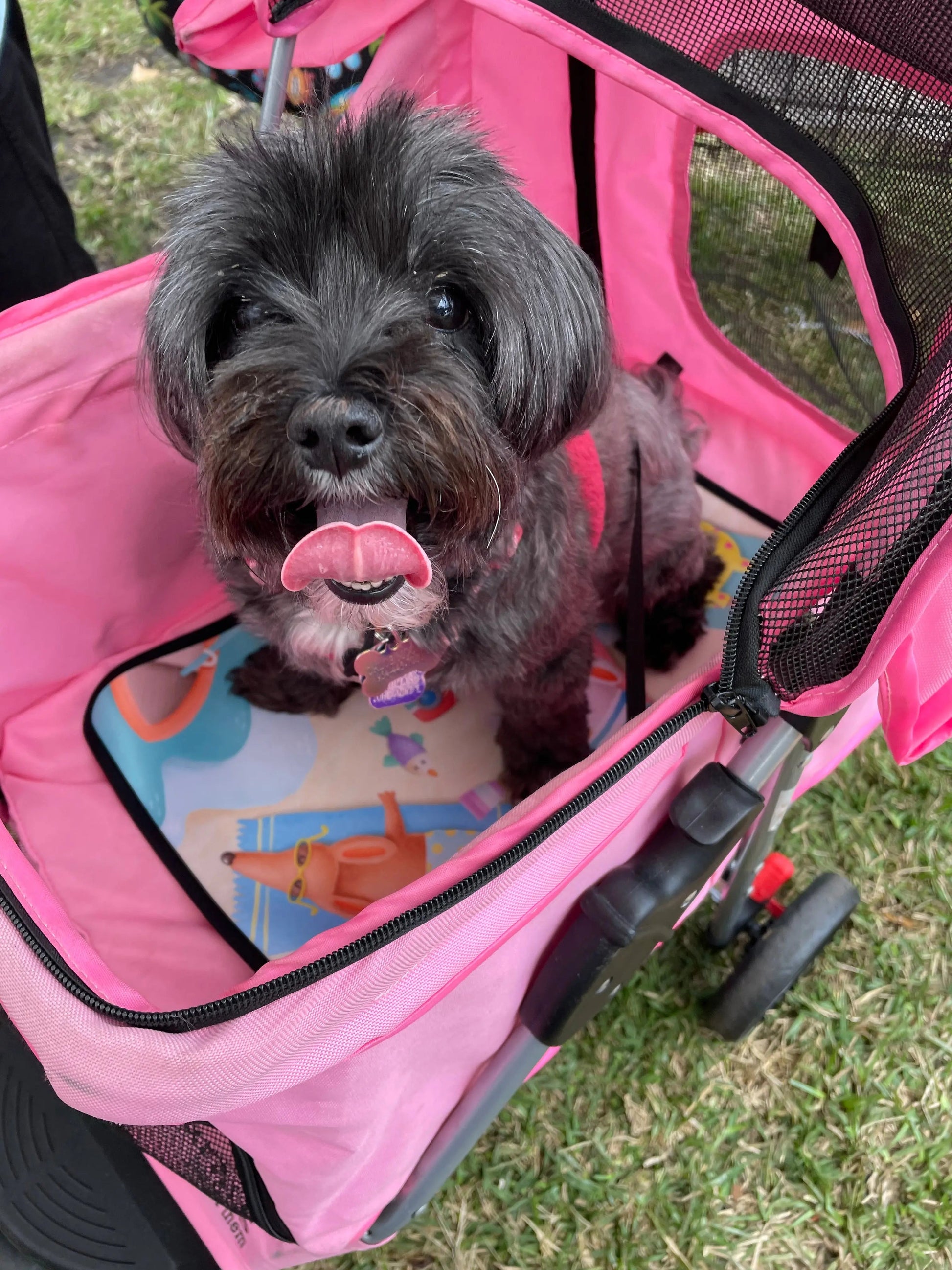 Carrier/Shopping Cart/Stroller Pad - Pup List