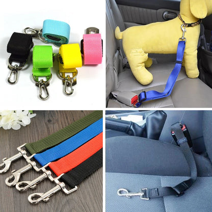 Seat Belt - Pup List