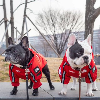 Dog Raincoat Winter Jacket - Pup List