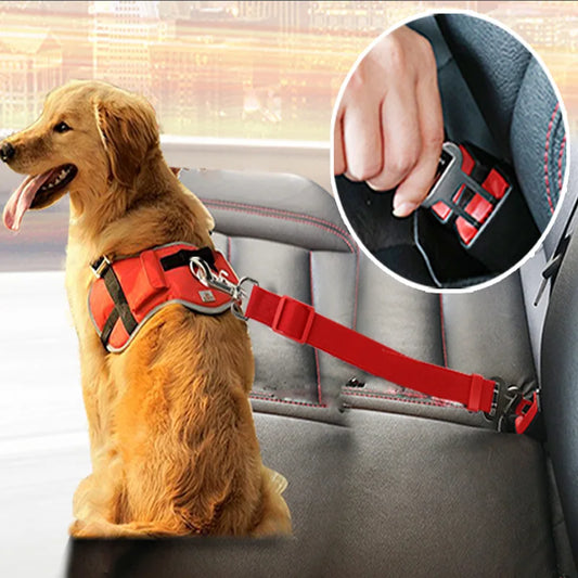 Seat Belt - Pup List