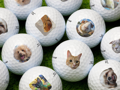 Custom Pet Photo Golf Balls