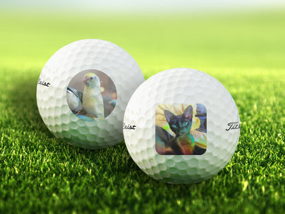 Custom Pet Photo Golf Balls