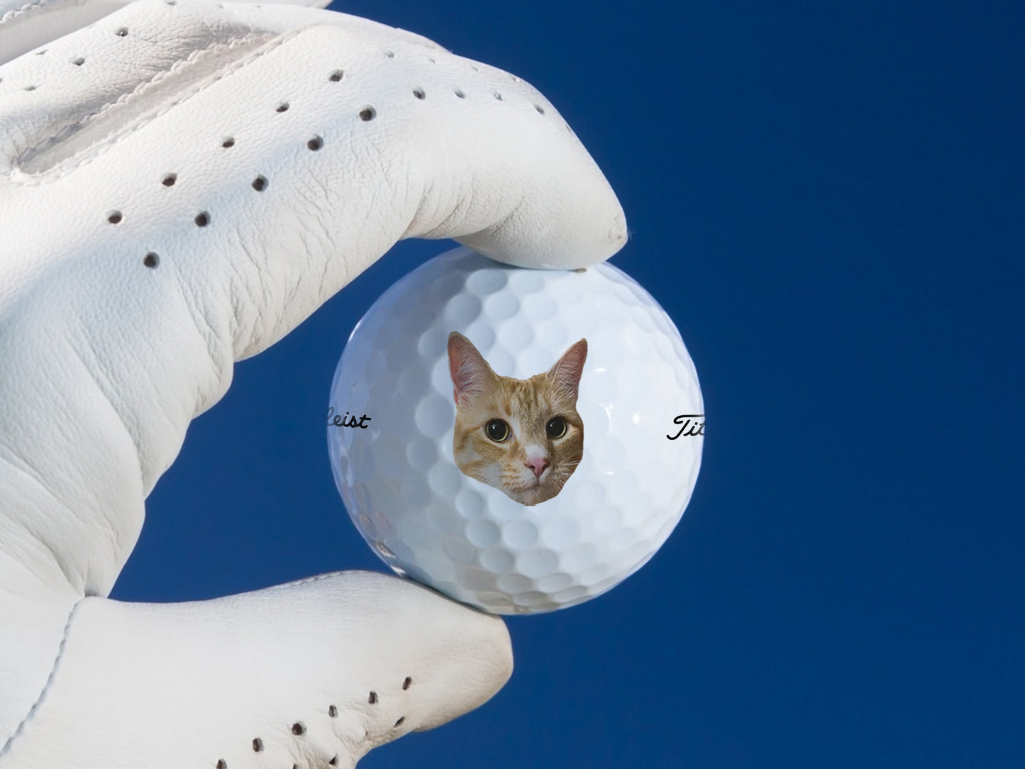 Custom Pet Photo Golf Balls