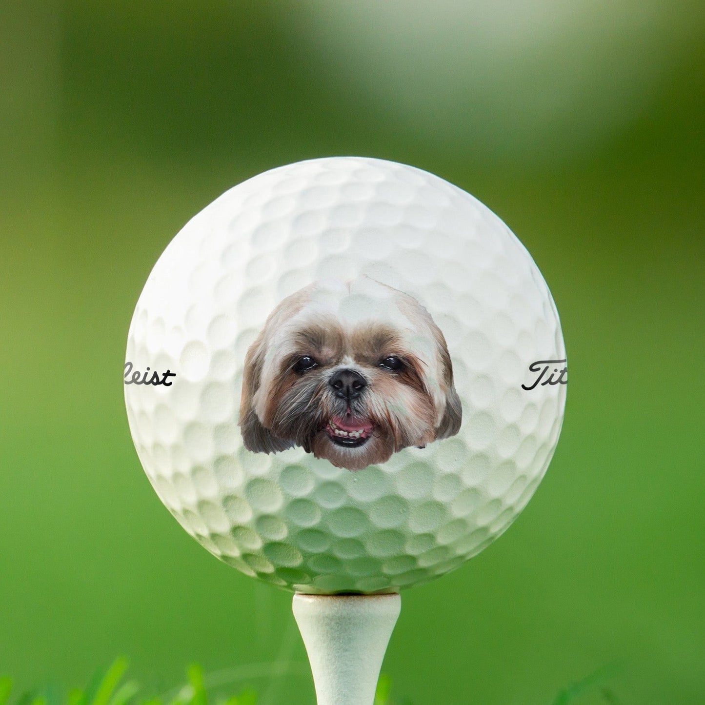 Custom Pet Photo Golf Balls