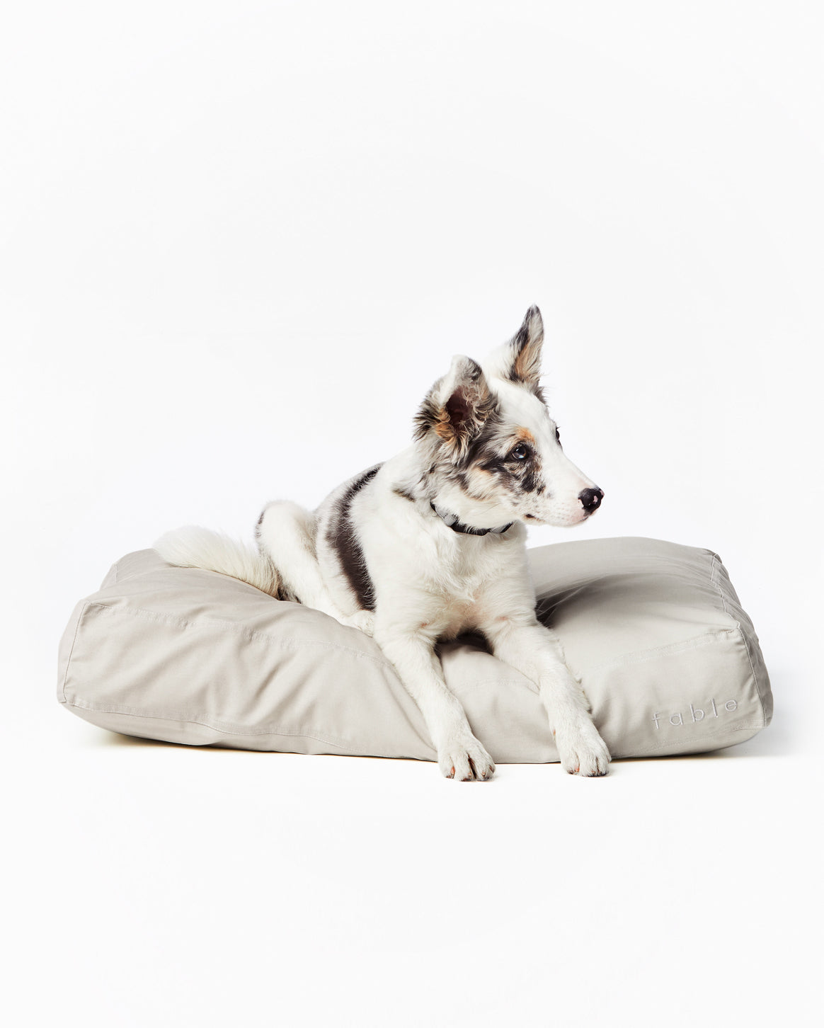 Bed Cover - Pup List