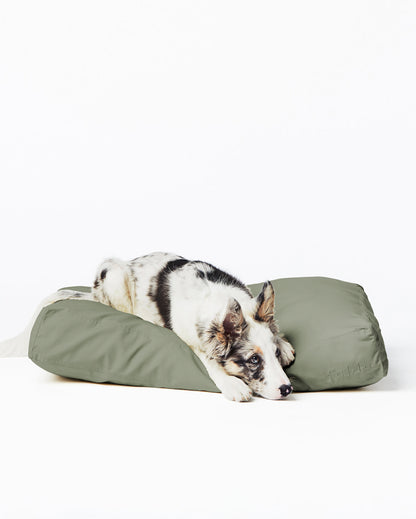 Bed Cover - Pup List