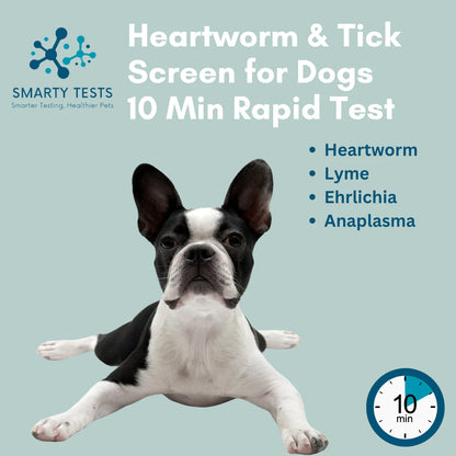 Heartworm & Tick Screen for Dogs 10 Min Rapid Test