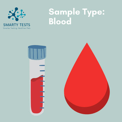 Feline Leukemia FeLV & Immunodeficiency Virus FIV 10-Minute Rapid Test