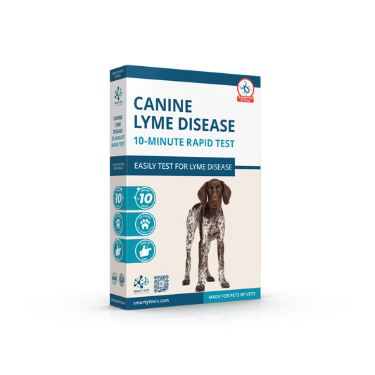 Canine Lyme Disease 10-Minute Rapid Test