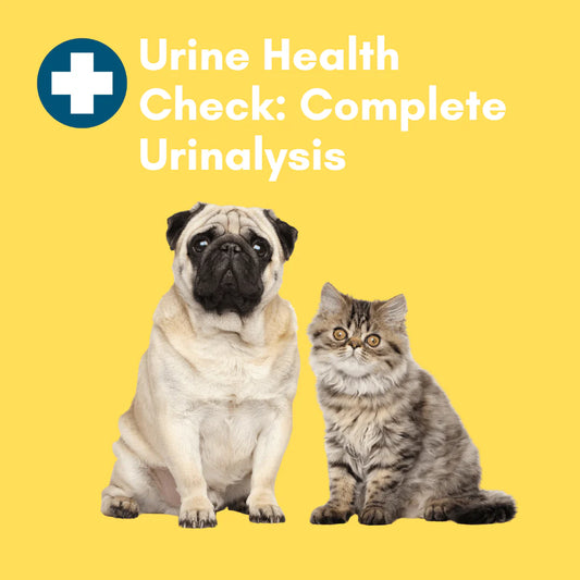 Complete Urinalysis