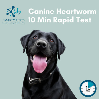 Canine Heartworm 10-Minute Rapid Test