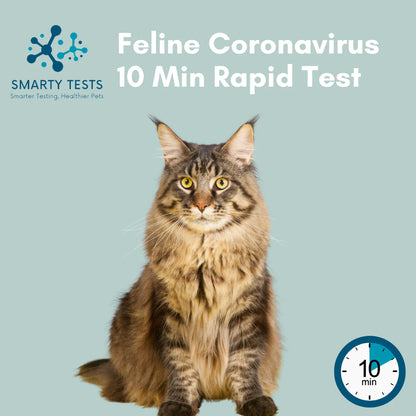 Feline Coronavirus 10 Minute Rapid Test