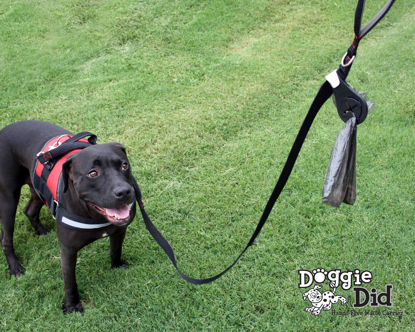 Doggie Did Hands-Free Waste Carrier