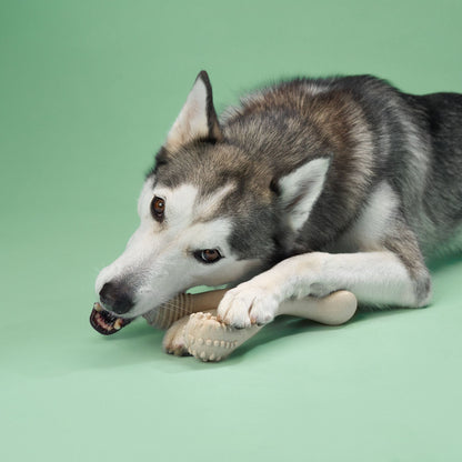 BetterBone MEDIUM Durability: Perfect Chew for Everyday Chewers | Natural, Eco-Friendly, Non-Toxic