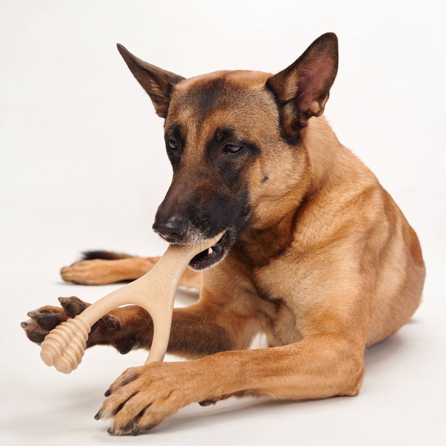 BetterBone MEDIUM Durability: Perfect Chew for Everyday Chewers | Natural, Eco-Friendly, Non-Toxic