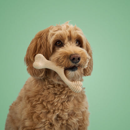 BetterBone MEDIUM Durability: Perfect Chew for Everyday Chewers | Natural, Eco-Friendly, Non-Toxic