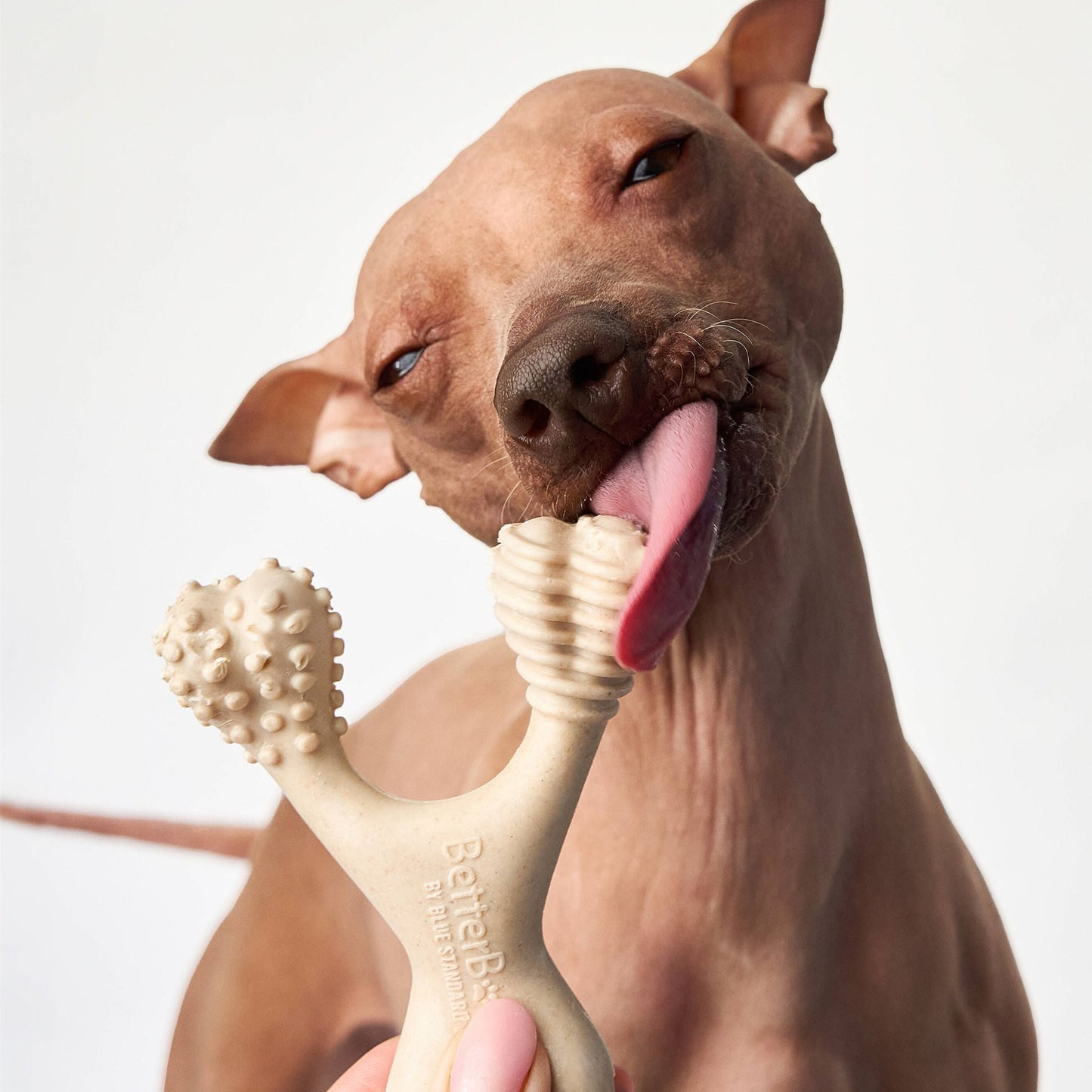 BetterBone MEDIUM Durability: Perfect Chew for Everyday Chewers | Natural, Eco-Friendly, Non-Toxic