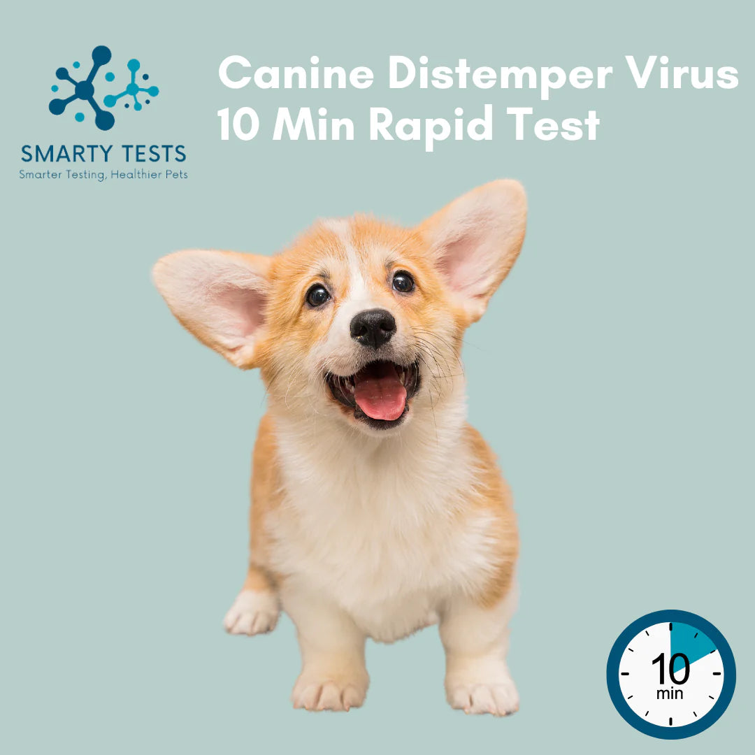 Canine Distemper Virus 10-Minute Rapid Test