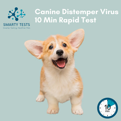 Canine Distemper Virus 10-Minute Rapid Test