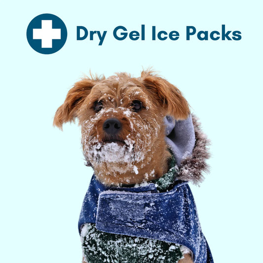 Dry Gel 2 oz. Ice Packs