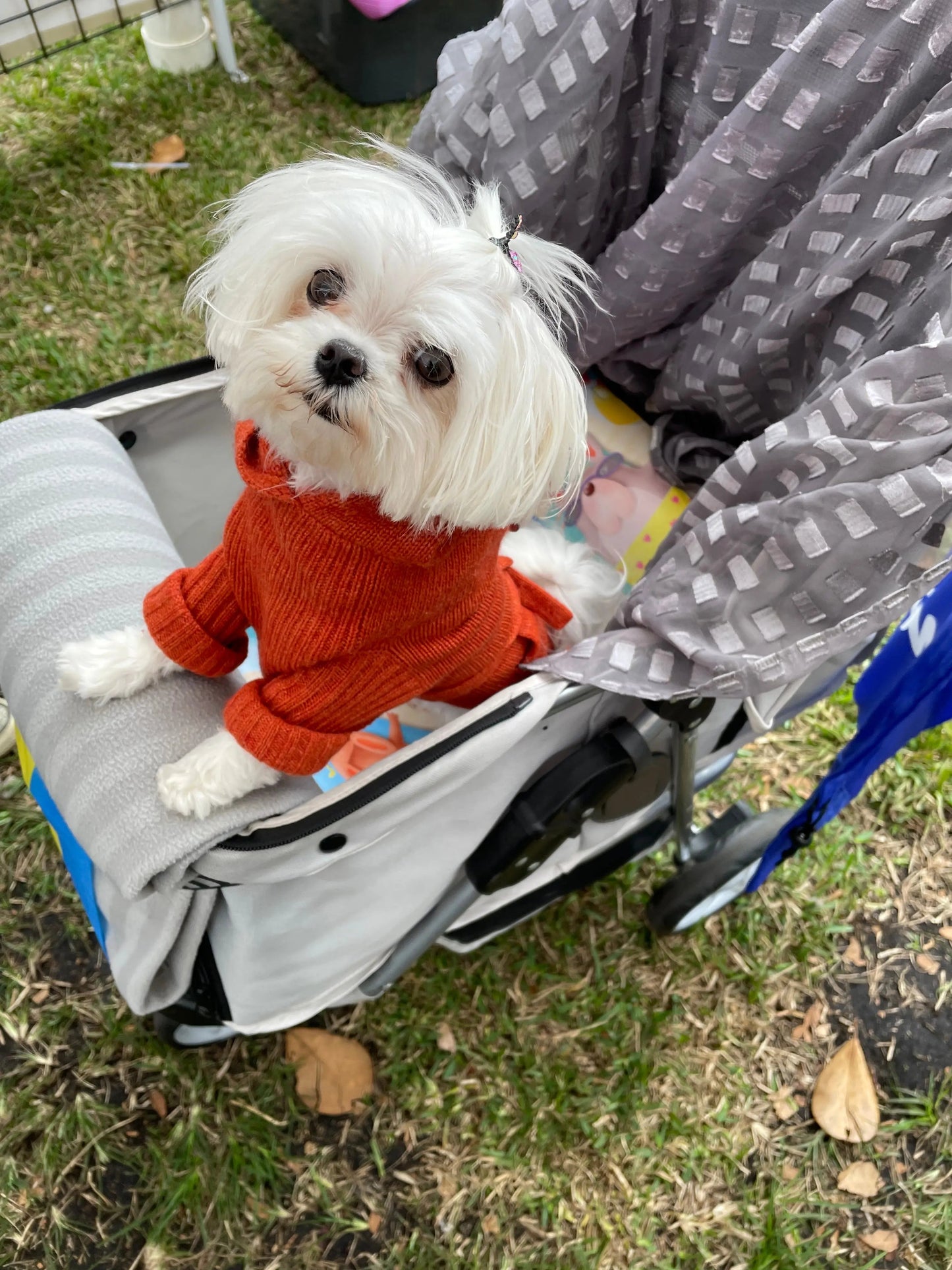 Carrier/Shopping Cart/Stroller Pad - Pup List