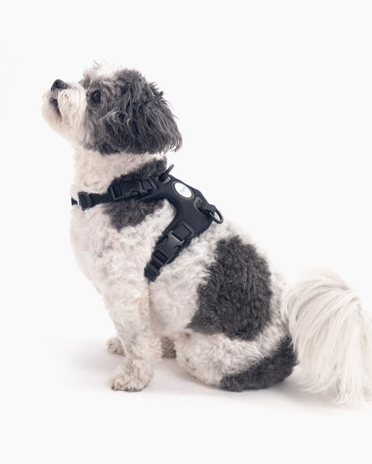 Signature Harness - Pup List