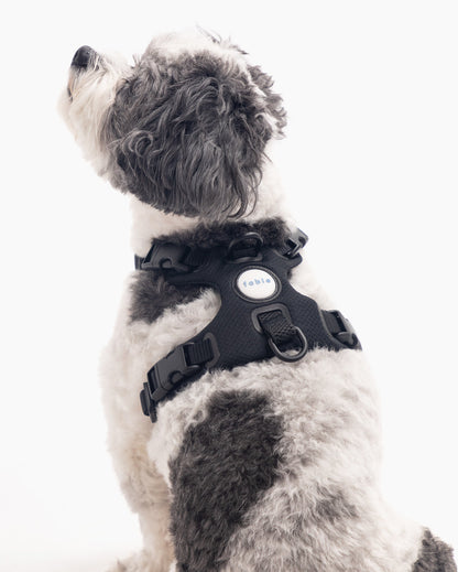 Signature Harness - Pup List