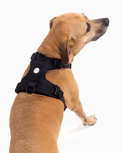 Signature Harness - Pup List