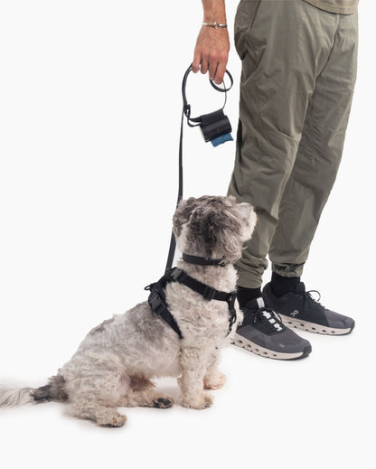 Ultimate Walk Set (w/ Signature Leash) - Pup List