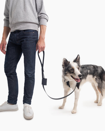 Ultimate Walk Set (w/ Signature Leash) - Pup List