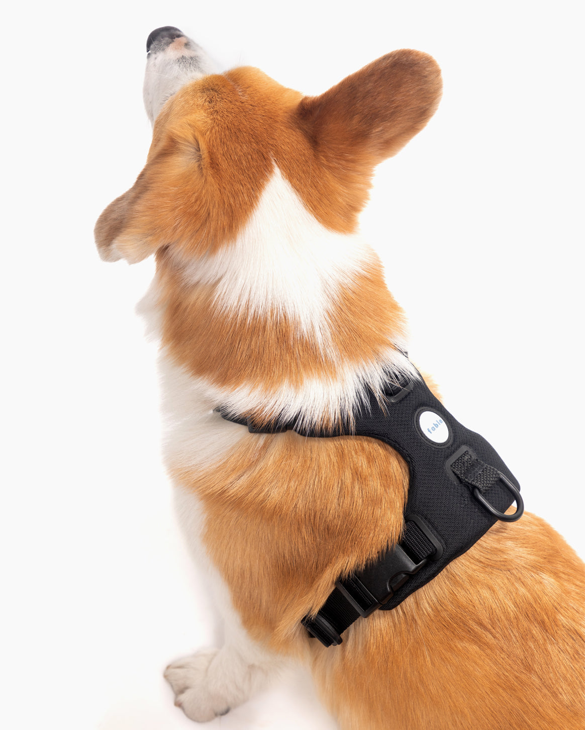 Signature Harness - Pup List