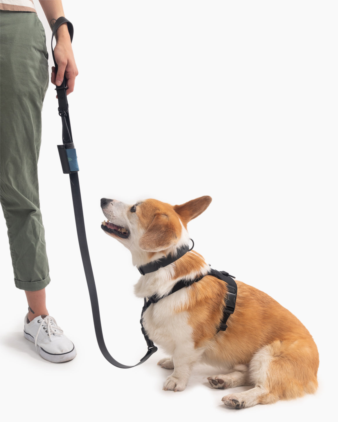 Ultimate Walk Set (w/ Signature Leash) - Pup List