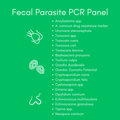 Fecal Parasite PCR Test (Comprehensive) for Dogs & Cats