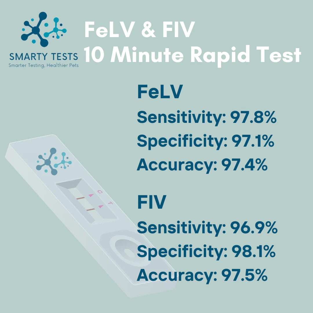 Feline Leukemia FeLV & Immunodeficiency Virus FIV 10-Minute Rapid Test