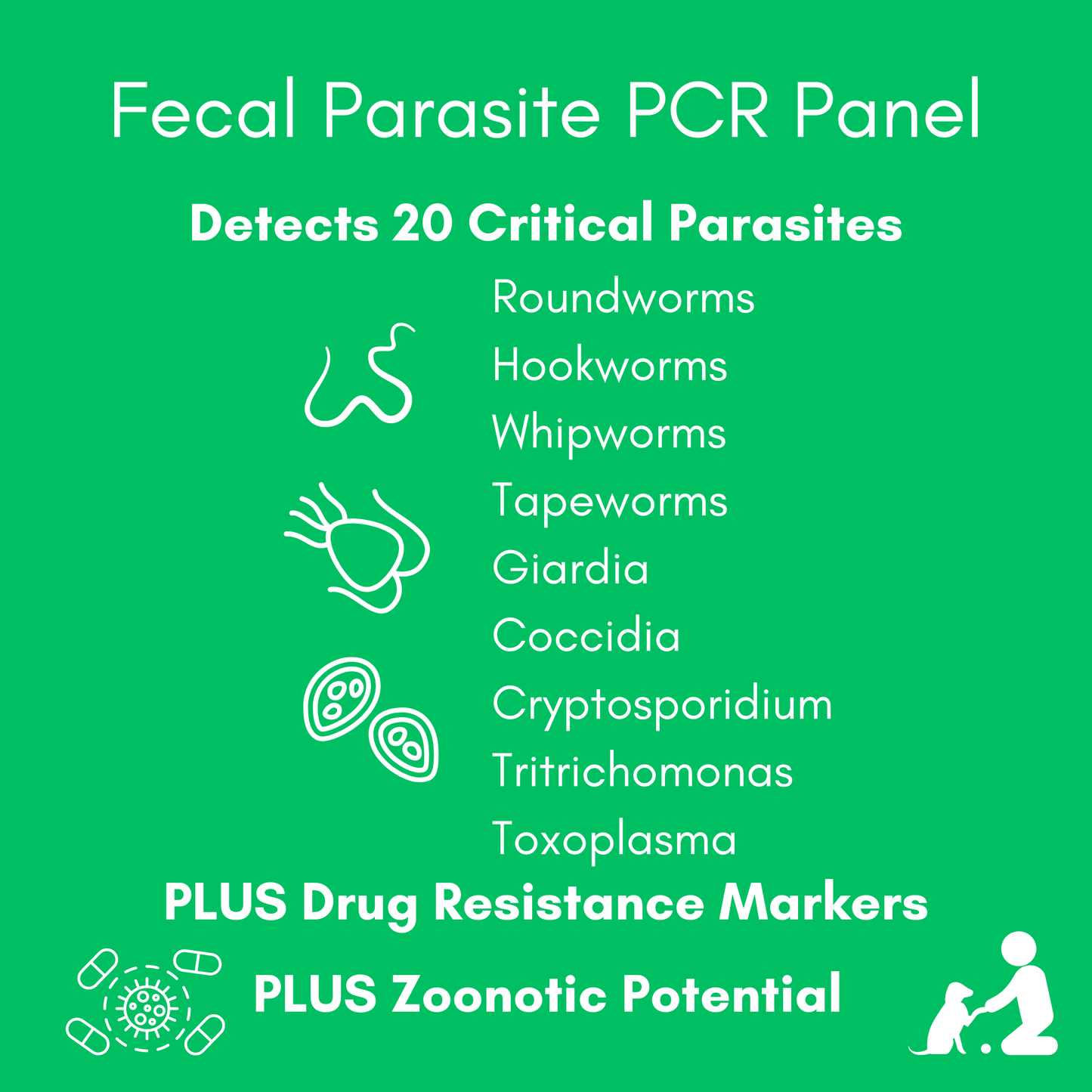 Fecal Parasite PCR Test (Comprehensive) for Dogs & Cats