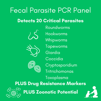 Fecal Parasite PCR Test (Comprehensive) for Dogs & Cats